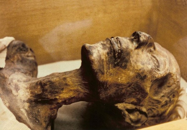 Пропавшую мумию отыскали на торгах спустя 40 лет