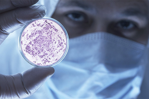 Кишечные бактерии сделают эффективней онкологические препараты — Ученые