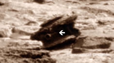 На Марсе обнаружили странного гуманоида
