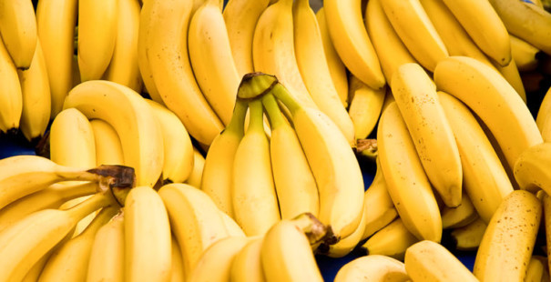 Любителям бананов придется забыть вкус фрукта — он на грани исчезновения