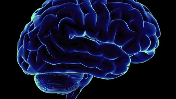 Учёные знают, как мозг это делает — Интерпретация чувств
