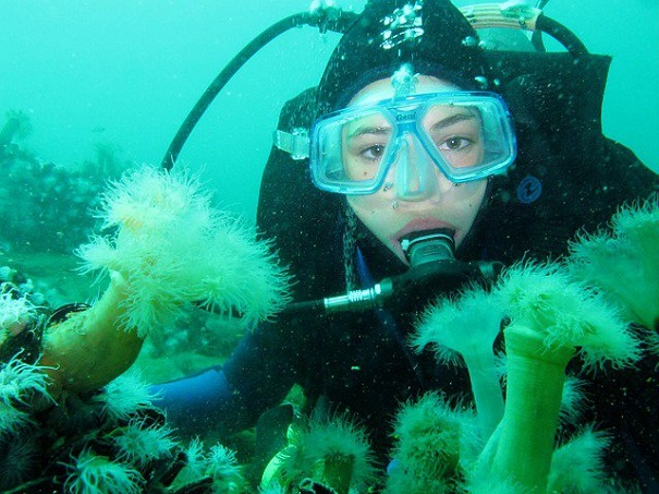 На дне Охотского моря найдено около 500 новых организмов