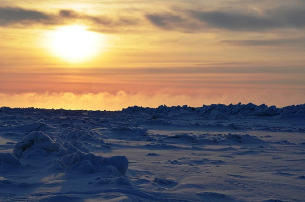 В Арктике зафиксирована самая высокая температура за последние 115 лет