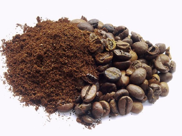 В кофемашинах найдены опасные для здоровья бактерии — Ученые