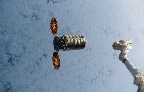НАСА предоставила трем американским компаниям новые контракты на доставку грузов на МКС