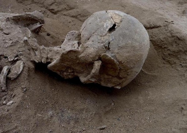 В Кении найдены останки жертв древнего вооруженного конфликта — История войны