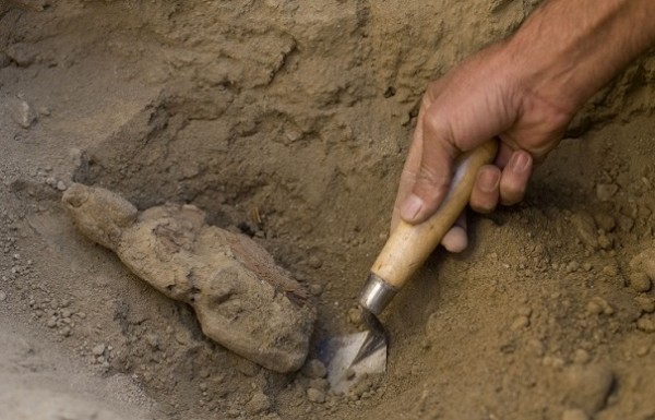 Изделия из золота и нефрита найдены в процессе раскопок на юго-западе Китая