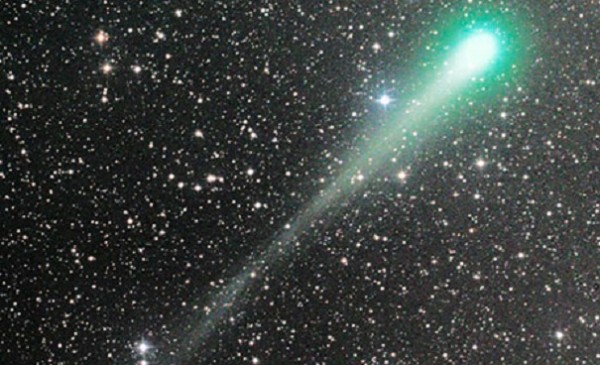 В новогоднюю ночь у «хвоста» Большой Медведицы будет видна комета Каталина
