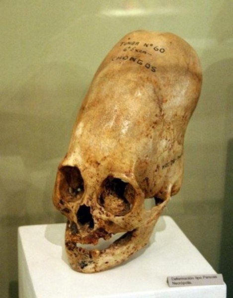 В Уфе воссоздадут имидж жрицы по черепу, найденному в «Аркаиме»