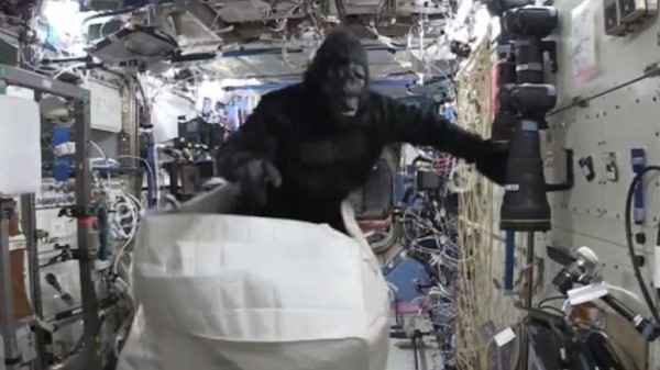 Астронавты разыграли ситуацию с нападением гориллы на МКС