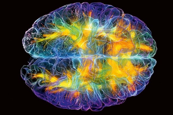 Учёные поведали о новом методе уличения функций мозга
