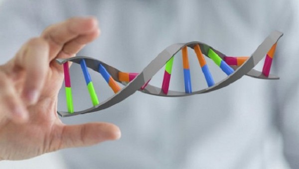 Наношприц даст возможность вводить ДНК в живые клетки — Ученые
