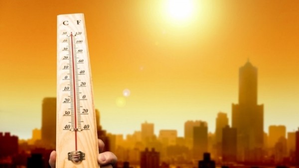 Текущий год будет самым жарким в истории метеонаблюдений