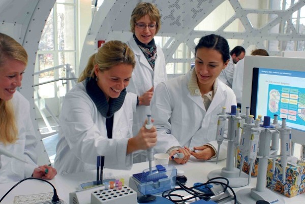 Национальный научный центр морской биологии создадут в Приморье