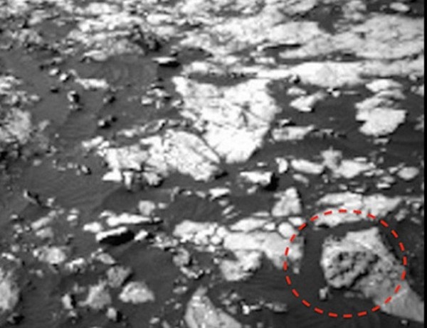 Череп гигантского ящера найден на Марсе