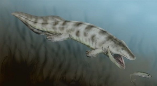 Обнаруженный в Бразилии новый вид рептилий жил до динозавров — Ученые