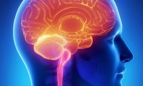 Ученые узнали, как вернуть память при болезни Альцгеймера