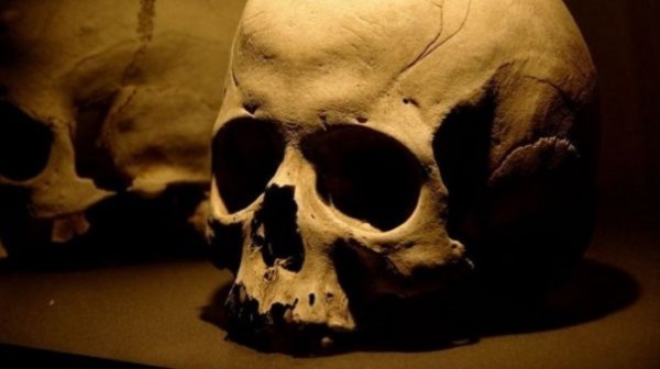 Ученые проинформировали о вероятном похищении черепа Шекспира из его могилы