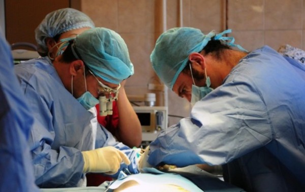 В первый раз в РФ хирурги на Кубани пересадили почку при помощи робота