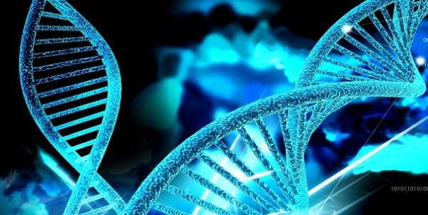 У 70 процентов населения имеются сокращающие жизнь «гены смерти» — ученые