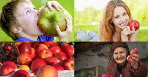 Употребление яблок понижает риск преждевременной смерти — Ученые