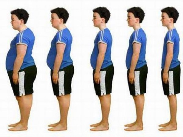 Ученые сообщили, что главная причина ожирения людей — это неверная работа белка TLR9