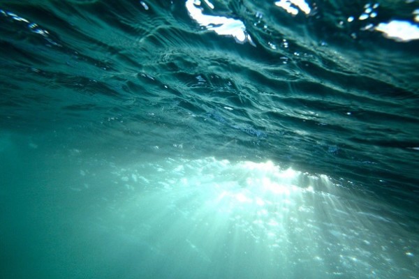 В коре Земли под толщей океана найдена жизнь