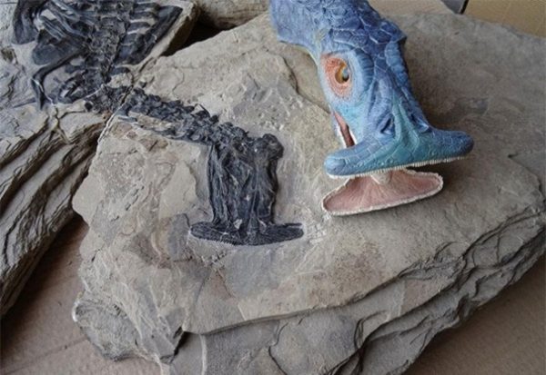 Ученые обнаружили окаменелые останки рептилии с головой-молотом