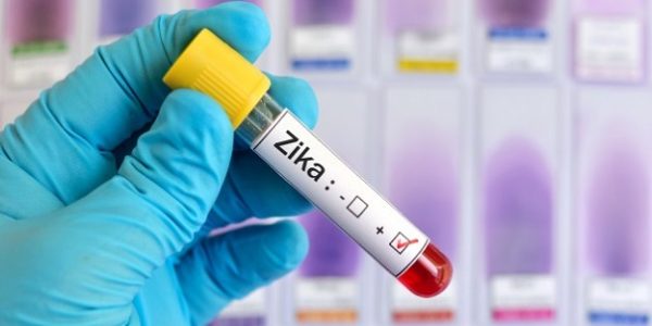 Вирус «Зика» может вскоре ворваться в США