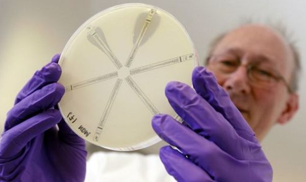 В США в первый раз обнаружили устойчивую ко всем антибиотикам «супербактерию»
