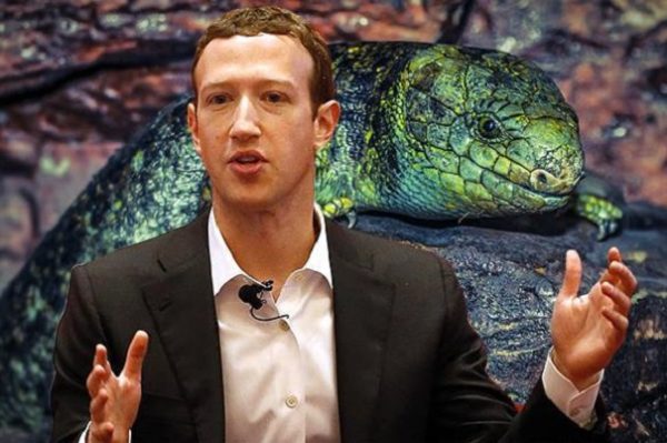 Марк Цукерберг опроверг свою принадлежность к рептилоидам