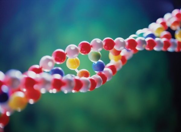 ДНК человека содержит 2-ой слой информации