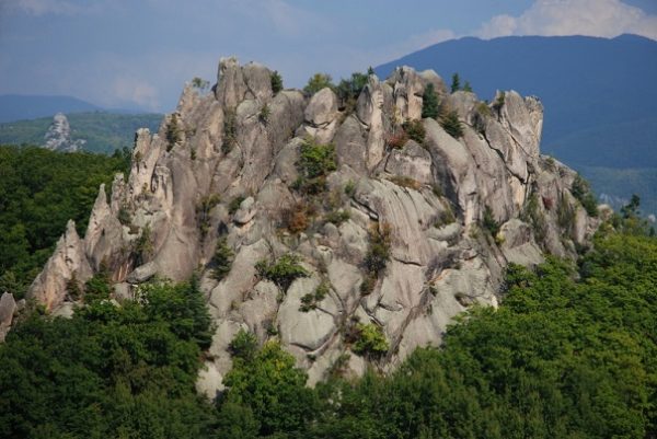 Археологи из Новосибирска сделали во Вьетнаме сенсационное открытие