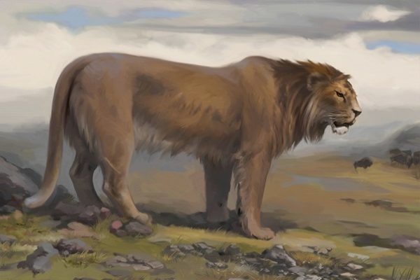 В Башкирии ученые приступят к новым раскопкам «кладбища» пещерных львов