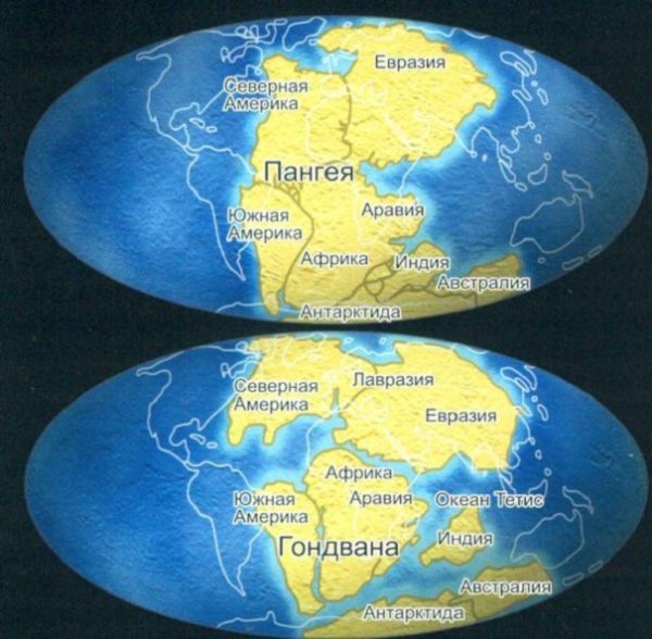 Ученые: континенты могут снова объединиться в Пангею