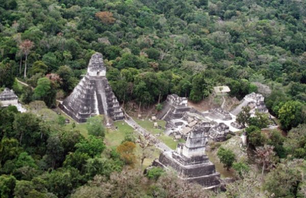 Найдена самая большая гробница эпохи майя.