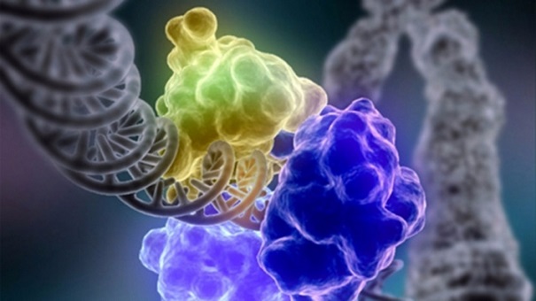Ученые: В скором будущем будет возможным восстановление облика по ДНК