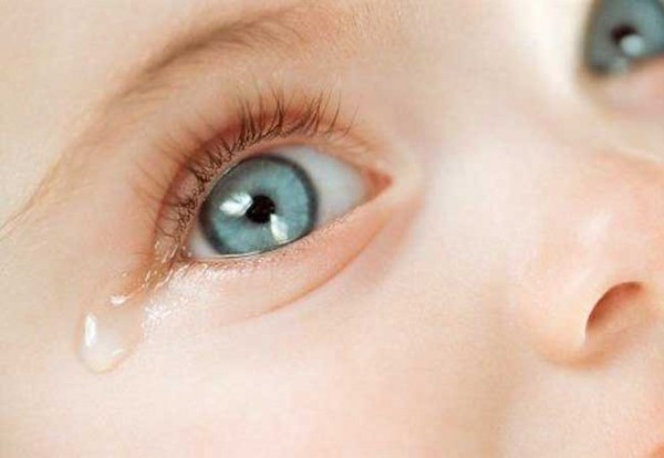 Ученые Вирус Зика может передаваться через глаза и слезы