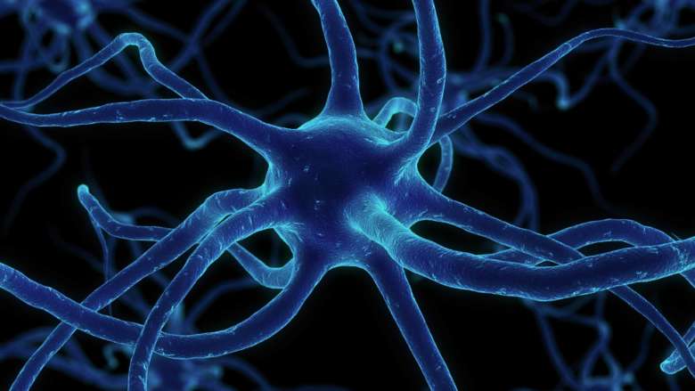 Ученые нашли метод регенерации нервов