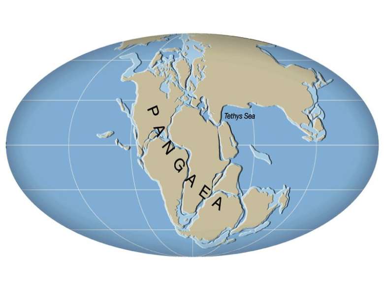 Ученые континенты могут снова объединиться в Пангею