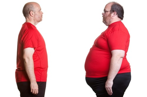 Ученые нашли ген отвечающий за ожирение