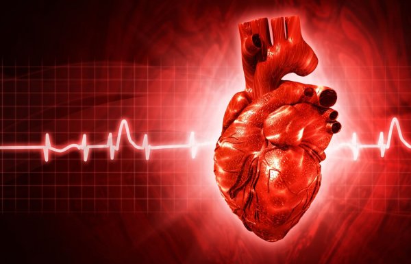 Ученые научились регенерировать поврежденные клетки сердца