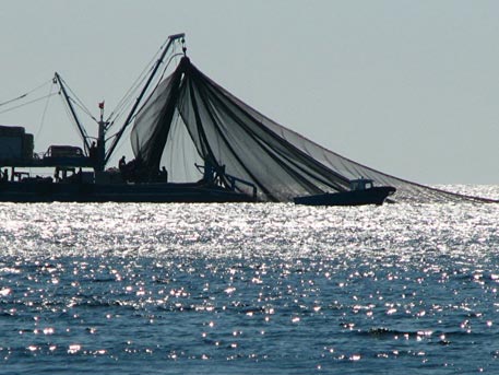 Португальская подлодка попала в рыболовные сети к французам
