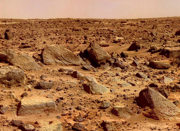 Ученые: на Марсе найдены останки медведя