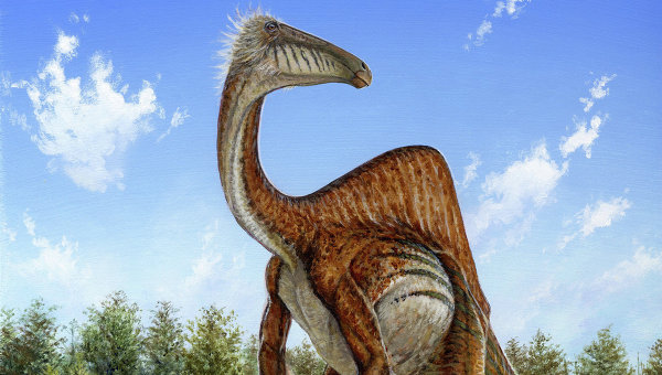 На юге Боливии найден гигантский след плотоядного динозавра
