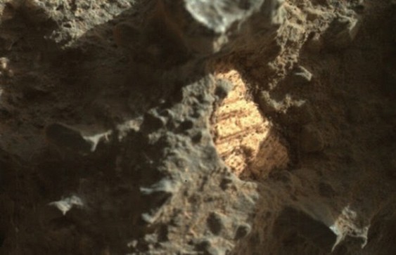 На снимках Марса уфолог обнаружил древние морские раковины