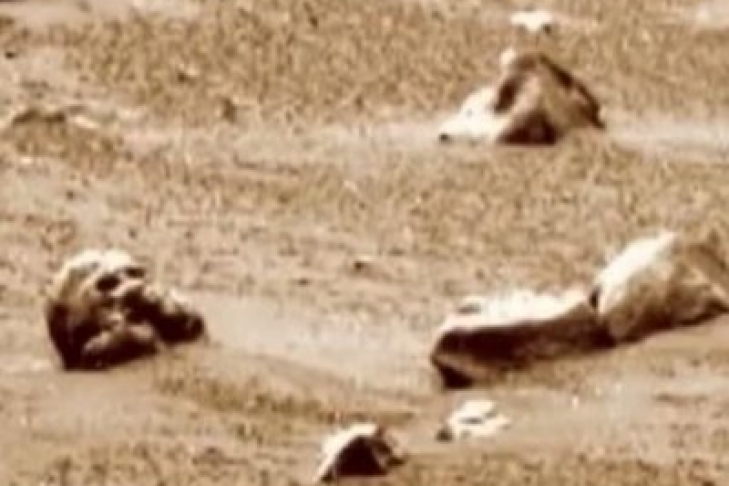 Уфолог: На Марсе вновь обнаружены останки инопланетянина