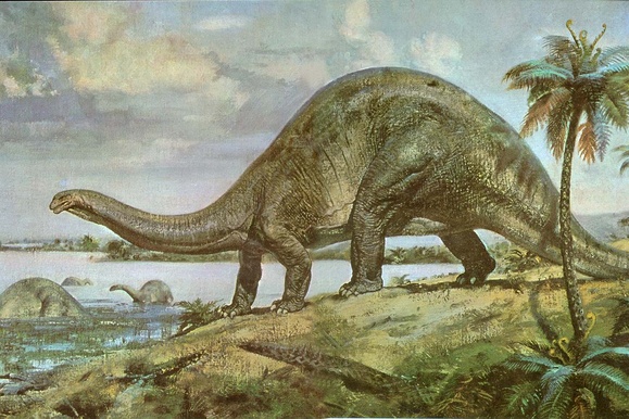 Динозавры ворковали и курлыкали а не рычали- ученые