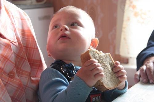 Голодное детство делает людей жестокими