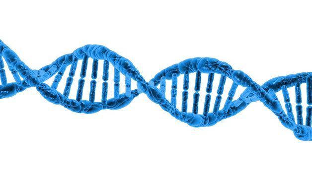 Ученые'взломали ДНК